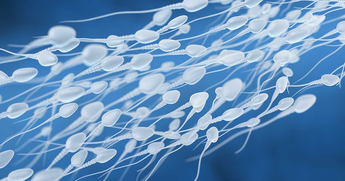 Astenozoospermia: cause e cure