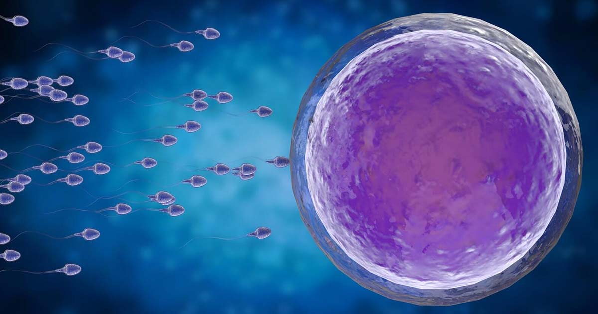 Meglio FIVET o ICSI? Quale tecnica scegliere
